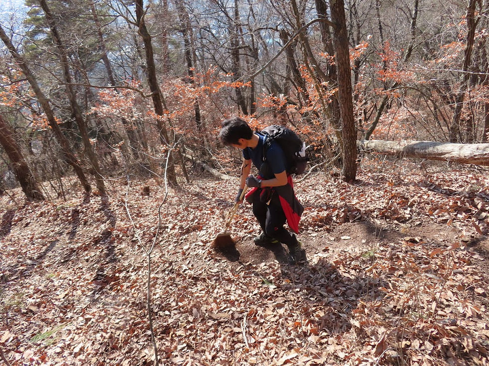 落ち葉を掃いて登山道をきれいにしました。落ち葉はすべりやすく、浮き石もたくさん隠れていたので、より安全に歩けました。ありがとう。
