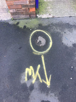 image00067
