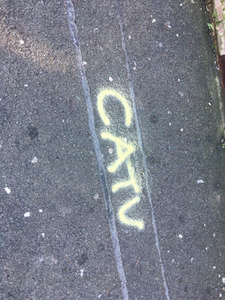 image00059