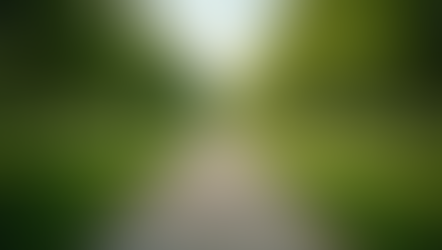 Impact social de l'ONG JUPROGED au Niger