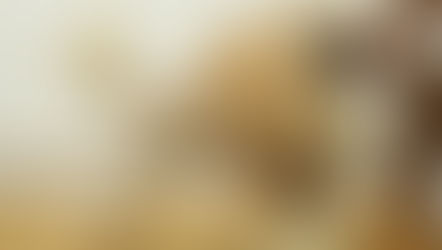 イングリッシュ・サドルクリップ！！