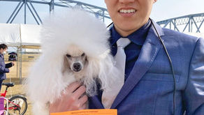 イブちゃんチャンピオンフィニッシュ！