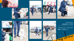 週末ドッグショー参加しました！