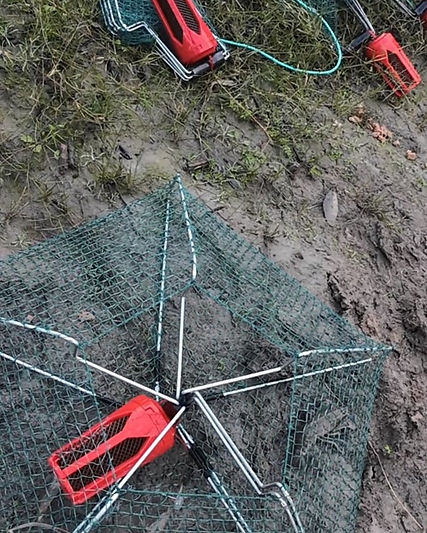 Yabby Net with Bait Bomb