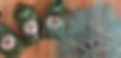 3 nets in bags and 2 nets open_edited.jpg