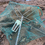 Thumbnail: Yabby Net with Bait Bomb – Open Top Pyramid Net