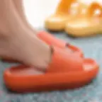 Sc5d79c4c28e64b8a8b3842365b4a0781Q.jpg