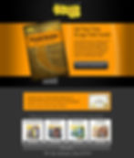 Online User Interaction