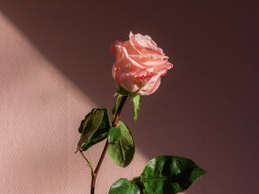 Specialized Muslim counseling for pre and post-marriage issues