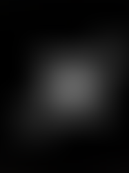 Now Coming Fall 2026