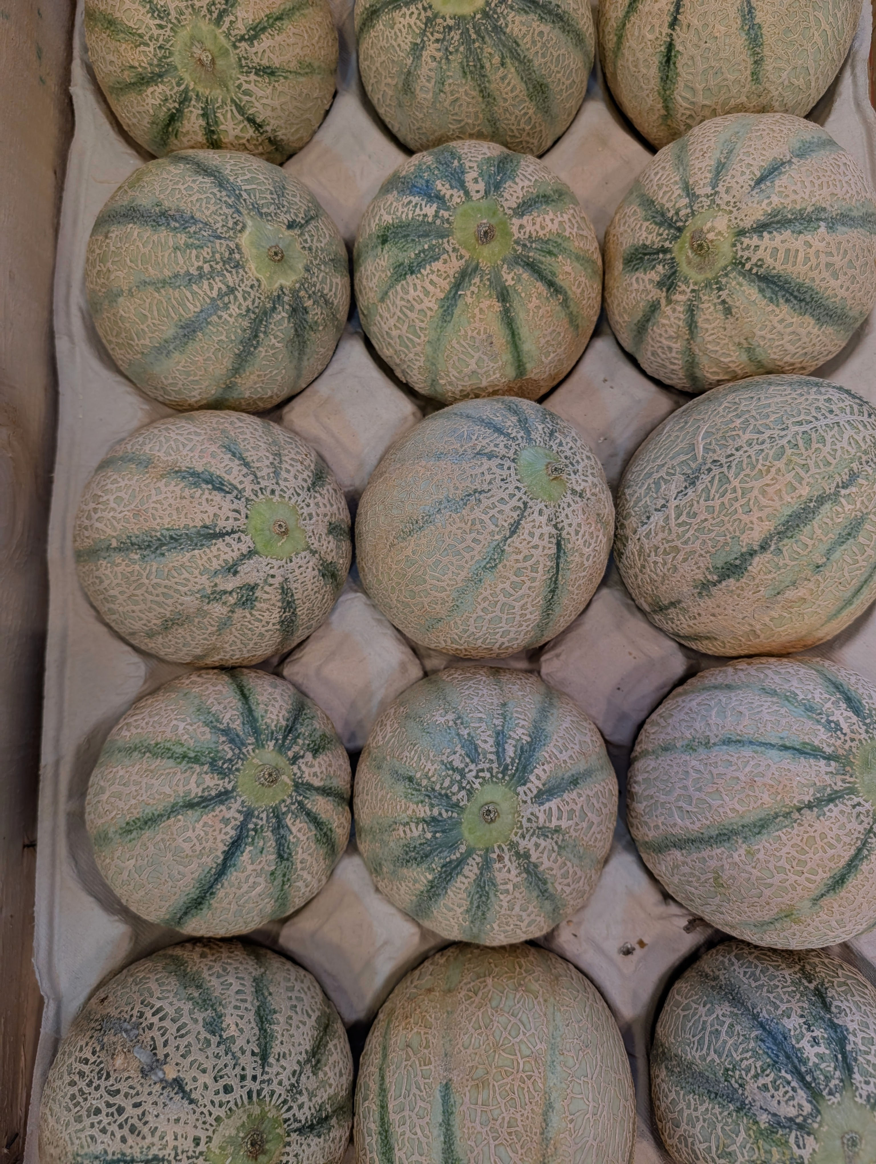 Melon Charentais
