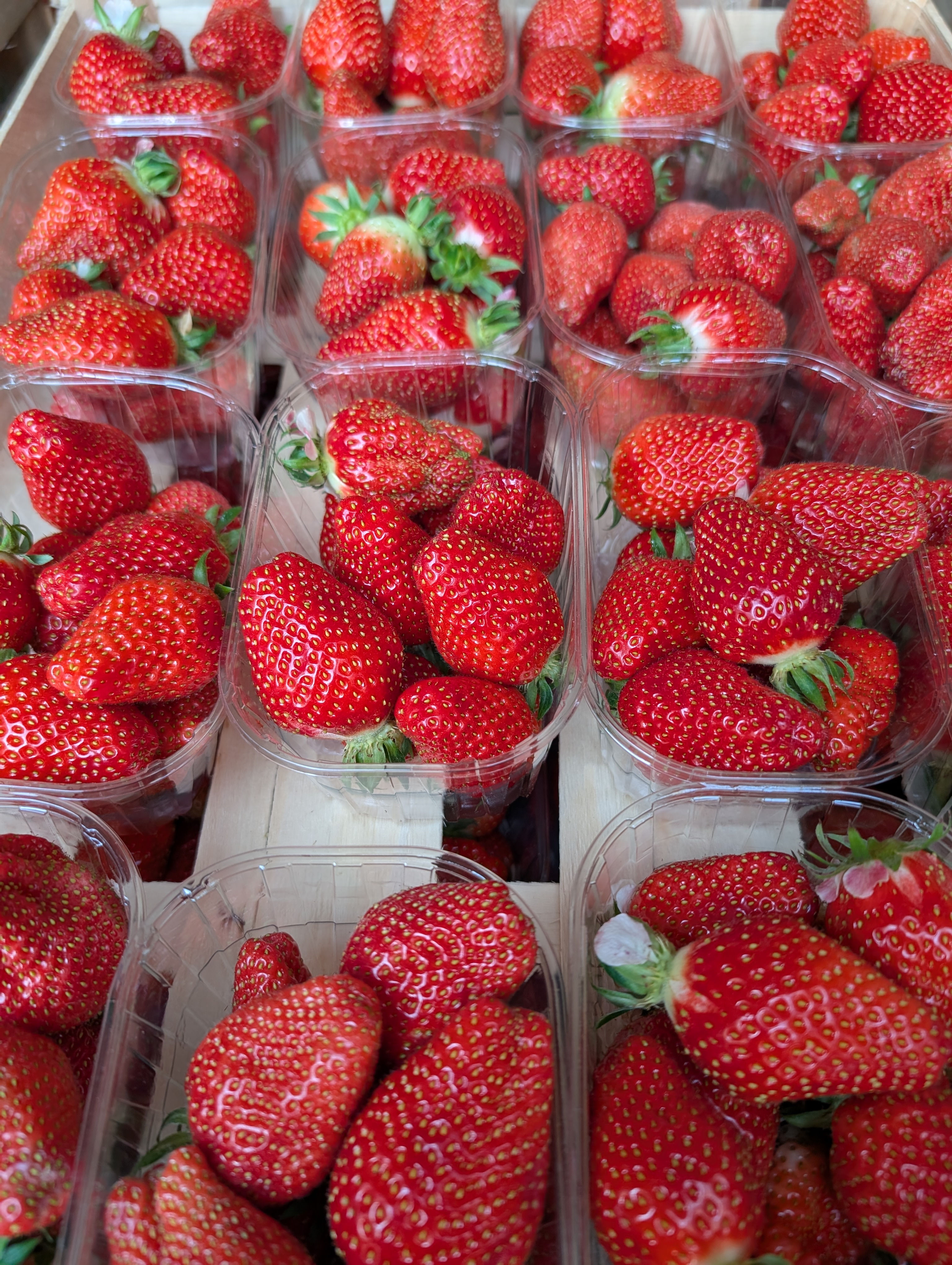 Fraise Gariguette moche