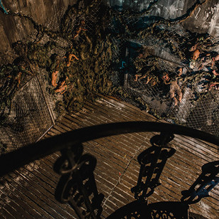 Resident Evil - Terrace.jpg