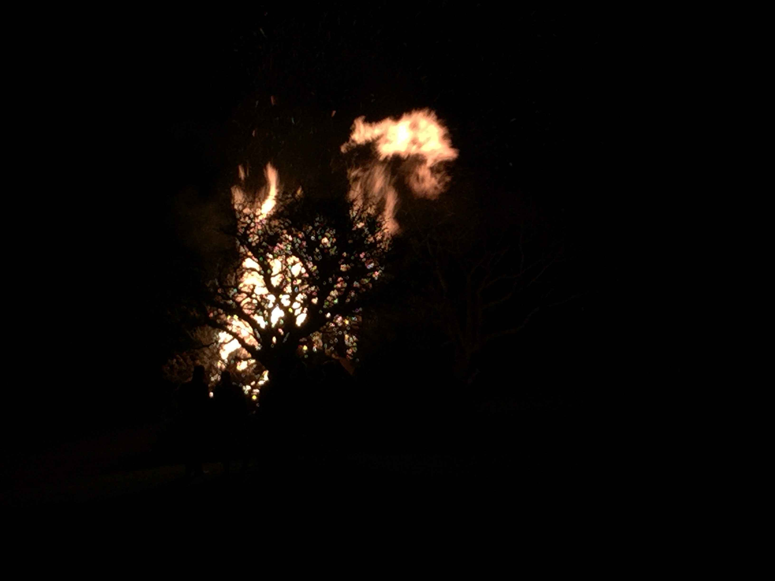 Fireworks at Clearbrook Village Hall