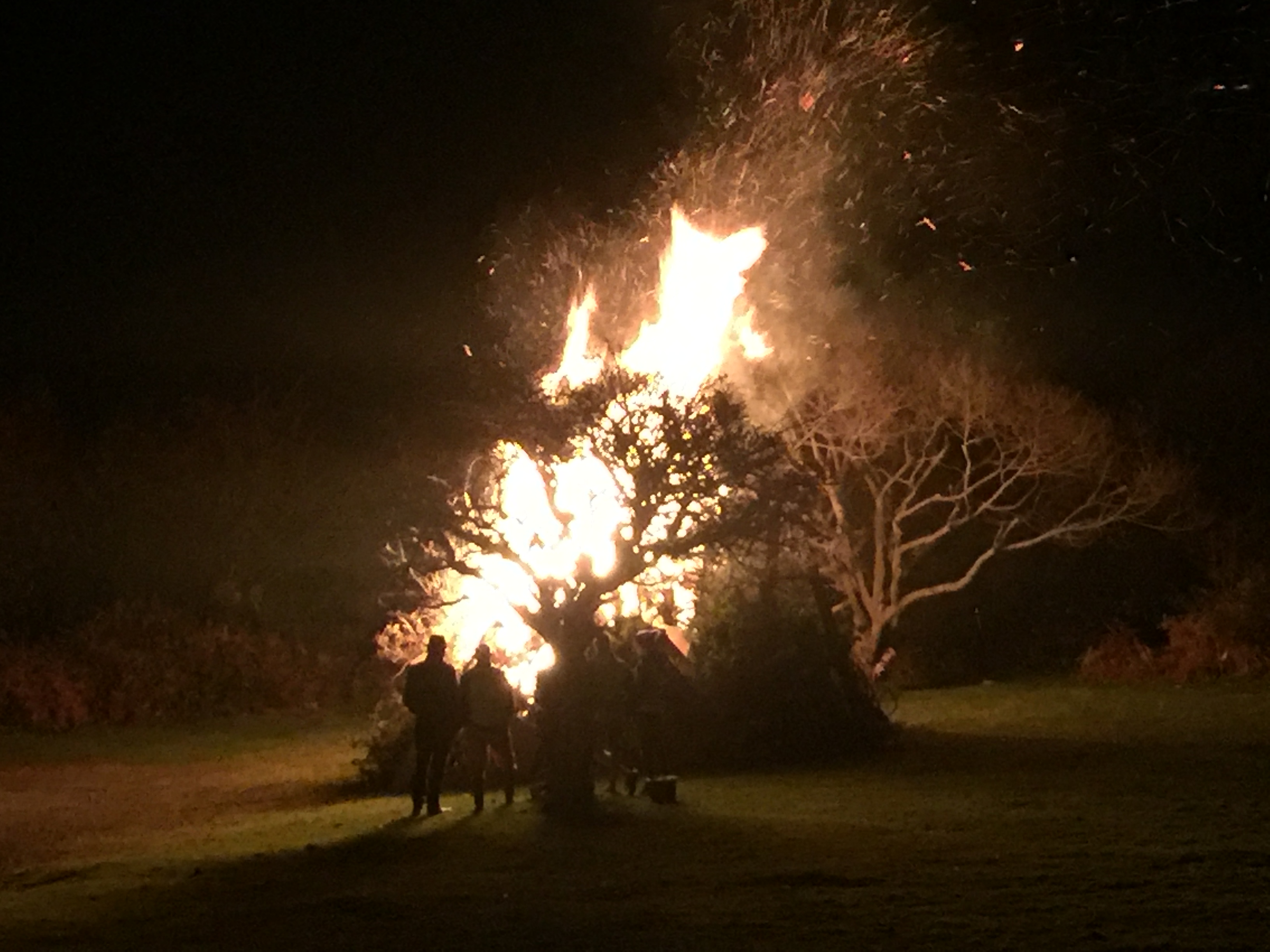 Fireworks at Clearbrook Village Hall