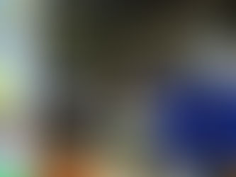 Biomimetic : un site pilote sur le MIN