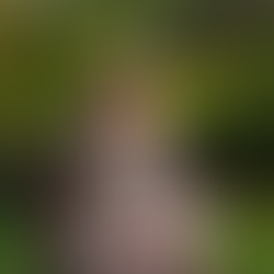 Another Name for Colonization: Moira Millán’s Terricidio