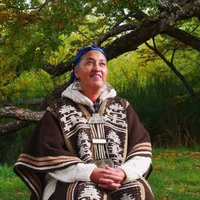 Another Name for Colonization: Moira Millán’s Terricidio