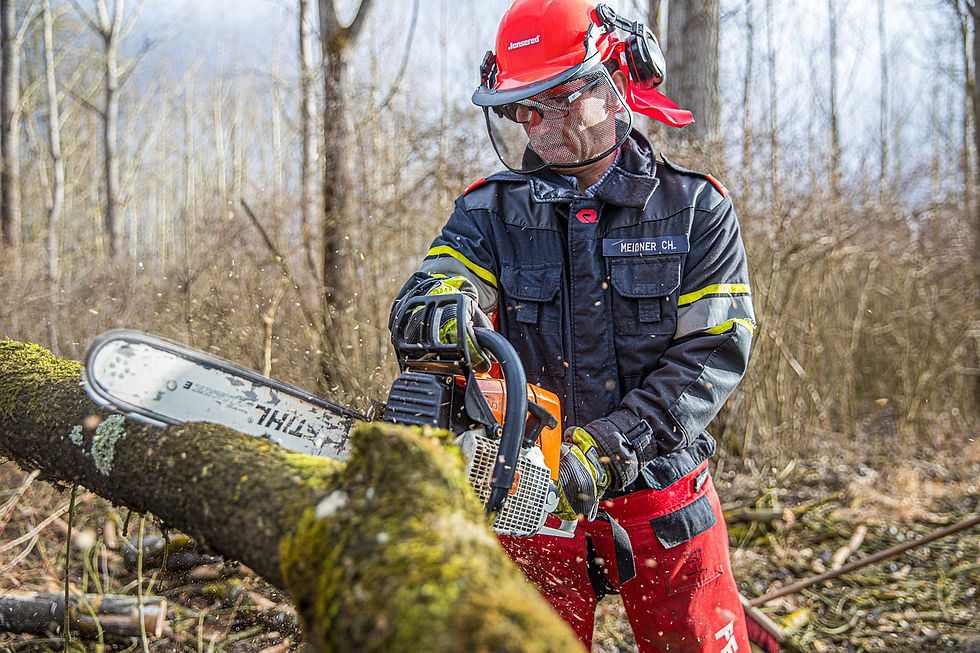 fire-fighters-5211402_1280.jpg