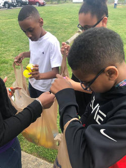 58858052_679795612453131_617609798879281