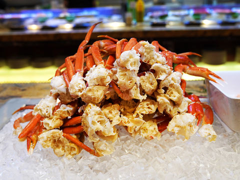 Osaka Sushi & Grill, All You Can Eat Buffet, Addison, TX75001 - restaurant near me, all you can eat, ayce buffet near me, buffet near me, japanese buffet near me, seafood buffet near me, hop pot near me, sushi near me, buffet in dallas, buffet in addison, Japanese restaurant, Japanese food, all you can eat buffet dallas, hot pot, teppanyaki, hibachi, sushi, sushi roll, sashimi, tataki, bento, tempura, seafood, ramen, noodles, desserts, buffet place, diner, restaurant nearby, local restaurant