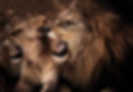 Sunrise Emergency Dentist of Salem, OR 97301 Family, Cosmetic, Implants Dentist - Dental Checkup, Cleaning & Examinations, Crowns, Bridges, Implants, Restorations, Veneers & Laminates, Bonding, Fillings, Dentures, Partial Dentures, Teeth Whitening, Smile Makeover, Tooth Extractions, Kid Friendly Dentist, Periodontics, Root Canal Therapy