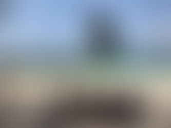 Photo Update
