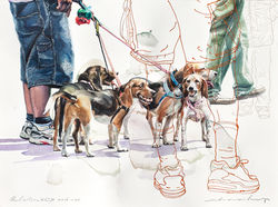 조원강｜Relationship 2016