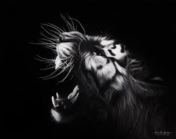 김태형｜The Roar #4