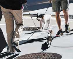 조원강｜Relationship 2015