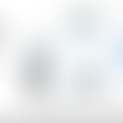 Illustration of Ison's (2017) PFMS heuristic model exploring possibilities for learning and change