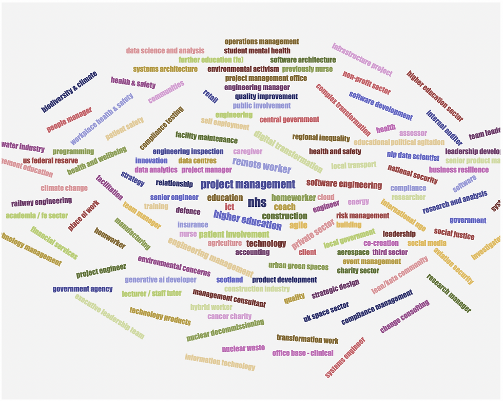 Word cloud with different colour terms describing common domains of practice for students of module TB872 Managing Change with Systems Thinking in Practice (STiP)
