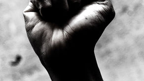 Surviving a pandemic