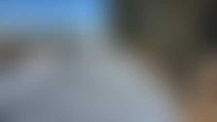 🏡 Shingle vs. Tile Roofing: Which Is Best for Your Home?