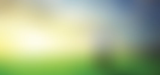 Everlasting Life: Yesterday, Today, and Tomorrow