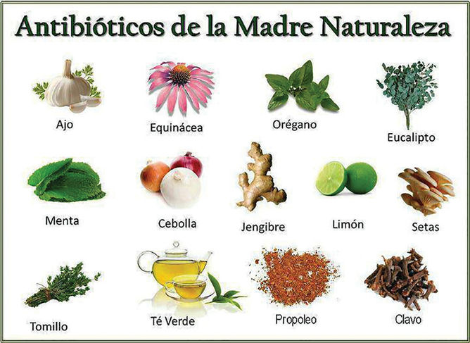 Sabiduría ancestral