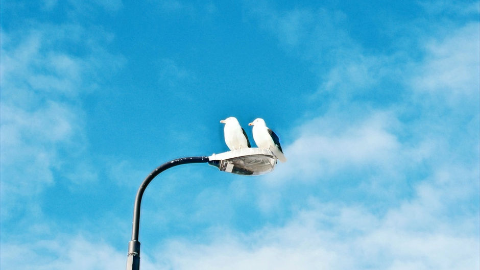 Dis-moi, à quoi tu rêves?