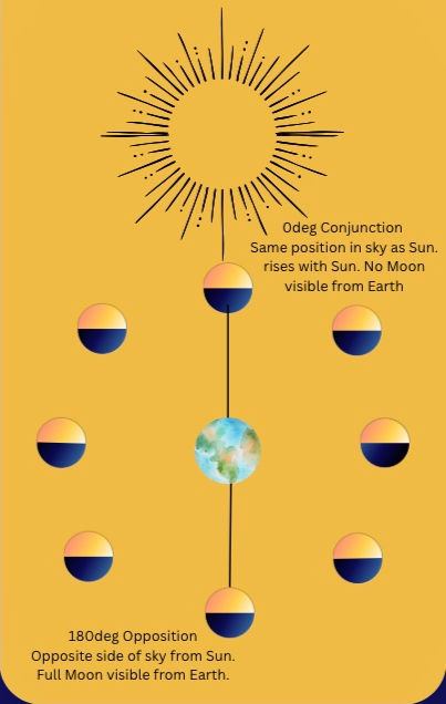 The Moon's Synodic Cycle