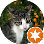 testimonial-3.png