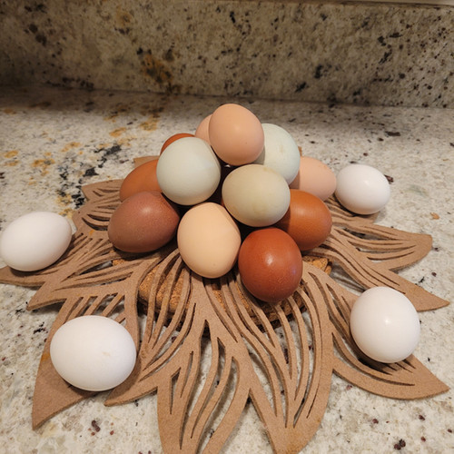 Free Range Chicken Eggs Northside Grow