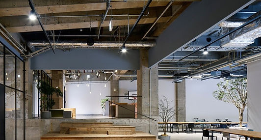 This is a background project photo of open communal area in a modern office with an indoor garden.