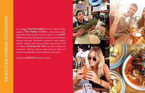 Proposal Design InDesign Expertise