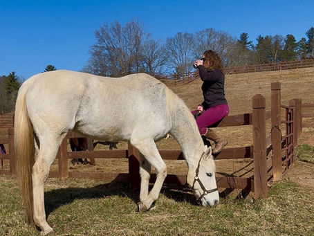 Leasing: How It Works & Why It Can Be a Great Option for Riders