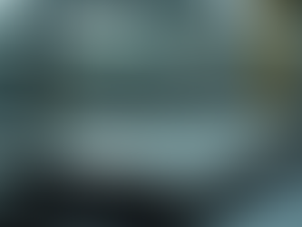 Breaking Down the Cost of Weighing Devices