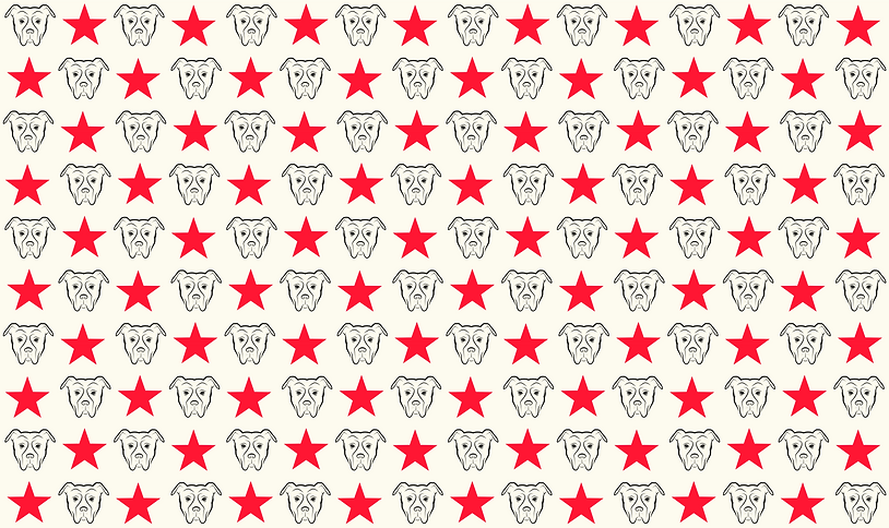Pattern (colour).png