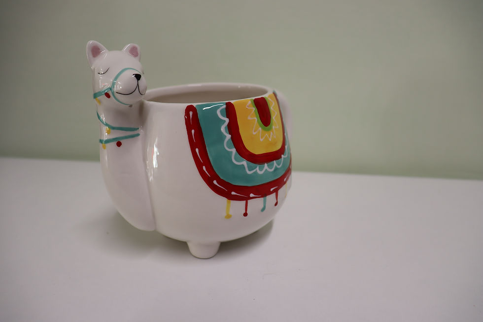 Miniatura: Mug Alpaca