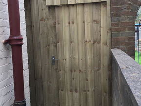 Side Gate and Fence!