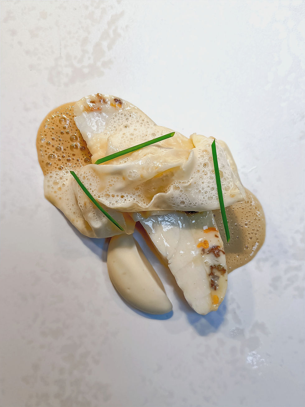 Wild Cornish Turbot