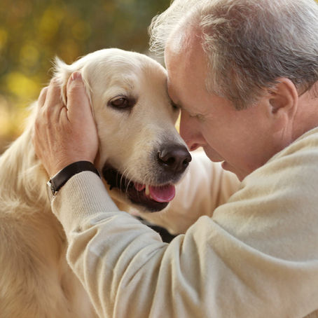 Animal-Assisted Therapy and Dementia Patients