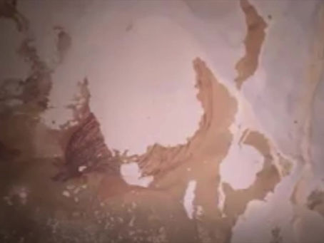 The Oldest Painting of Animals from an Indonesian Cave